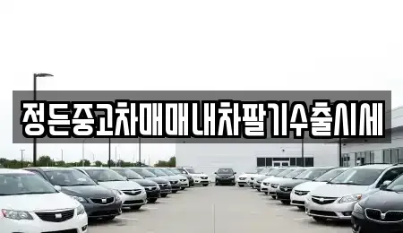 경기 포천시 화현면 중고차 전문 정든중고차매매내차팔기수출시세