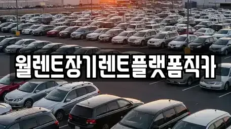 경기 화성시 매송면 장기렌트카 전문 월렌트장기렌트플랫폼직카