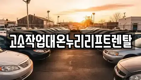 경기 화성시 서신면 중고차매입 전문 고소작업대온누리리프트렌탈