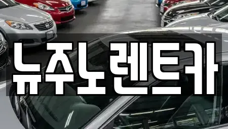 경기도 고양시 일산동구 장항동 단기렌트카 전문 뉴주노렌트카