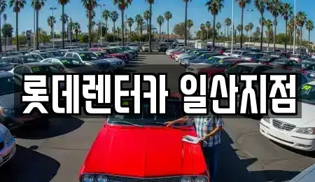 경기도 고양시 일산동구 장항동 단기렌트카 전문 롯데렌터카 일산지점