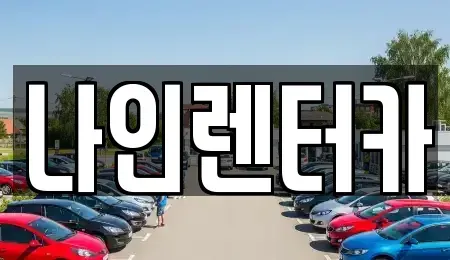 경기도 고양시 일산동구 장항동 렌트카 전문 나인렌터카