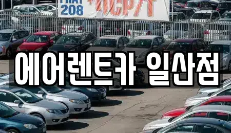 경기도 고양시 일산동구 장항동 렌트카,단기렌트카,장기렌트카,중고차,중고차매매,중고차매입