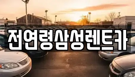 경기도 고양시 일산동구 장항동 렌트카 전문 전연령삼성렌트카