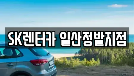 경기도 고양시 일산동구 장항동 장기렌트카 전문 SK렌터카 일산정발지점