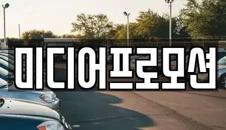 경기도 고양시 일산동구 장항동 장기렌트카 전문 미디어프로모션