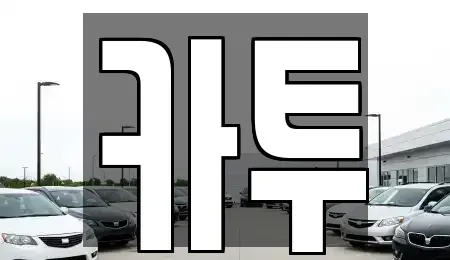 경기도 고양시 일산동구 장항동 장기렌트카 전문 카투