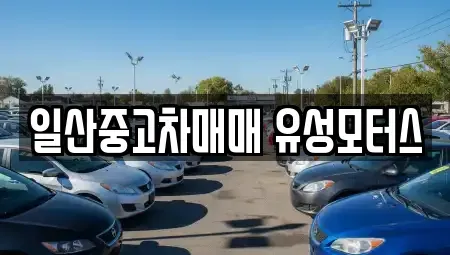 경기도 고양시 일산동구 장항동 중고차 전문 일산중고차매매 유성모터스