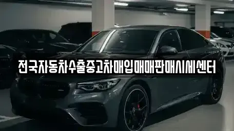경기도 고양시 일산동구 장항동 중고차매입 전문 전국자동차수출중고차매입매매판매시세센터