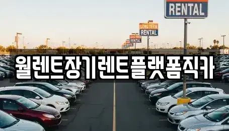 경기도 광주시 역동 장기렌트카 전문 월렌트장기렌트플랫폼직카