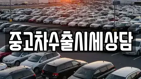 경기도 광주시 역동 중고차 전문 중고차수출시세상담