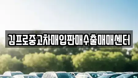 경기도 광주시 역동 중고차매입 전문 김프로중고차매입판매수출매매센터