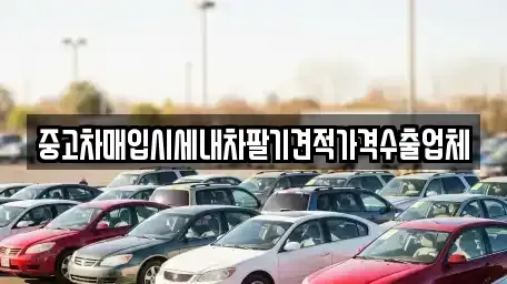 경기도 광주시 역동 중고차매입 전문 중고차매입시세내차팔기견적가격수출업체