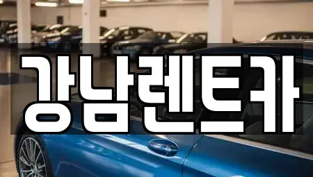 경기도 남양주시 호평동 장기렌트카 전문 강남렌트카