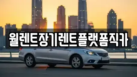 경기도 남양주시 호평동 장기렌트카 전문 월렌트장기렌트플랫폼직카