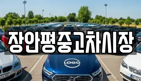 경기도 남양주시 호평동 중고차,렌트카,중고차매입,중고차매매,장기렌트카,단기렌트카