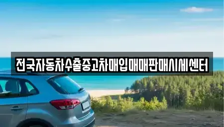 경기도 남양주시 호평동 중고차 전문 전국자동차수출중고차매입매매판매시세센터