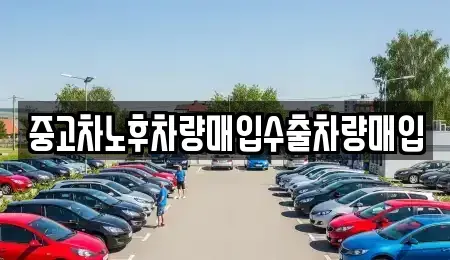 경기도 남양주시 호평동 중고차 전문 중고차노후차량매입수출차량매입