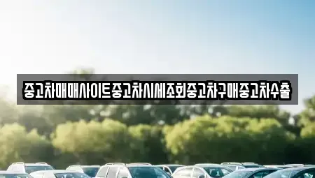 경기도 남양주시 호평동 중고차 전문 중고차매매사이트중고차시세조회중고차구매중고차수출