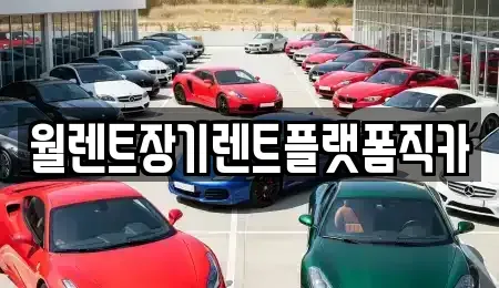 경기도 부천시 원미구 약대동 장기렌트카 전문 월렌트장기렌트플랫폼직카