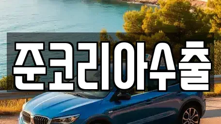 경기도 부천시 원미구 약대동 중고차 전문 준코리아수출