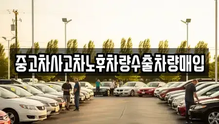 경기도 부천시 원미구 약대동 중고차매입 전문 중고차사고차노후차량수출차량매입