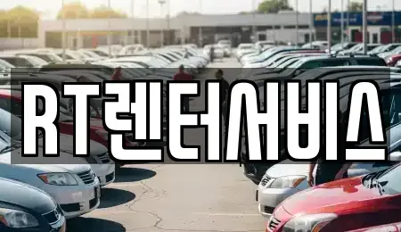 경기도 성남시 수정구 신흥동 단기렌트카 전문 RT렌터서비스