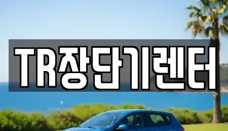 경기도 성남시 수정구 신흥동 단기렌트카 전문 TR장단기렌터