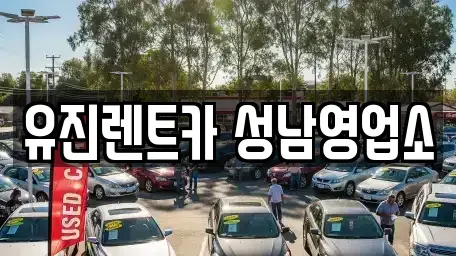 경기도 성남시 수정구 신흥동 단기렌트카 전문 유진렌트카 성남영업소