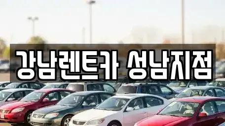 경기도 성남시 수정구 신흥동 렌트카 전문 강남렌트카 성남지점
