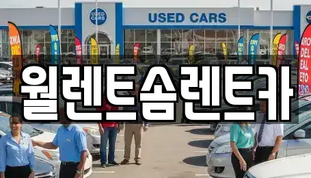 경기도 성남시 수정구 신흥동 렌트카 전문 월렌트솜렌트카