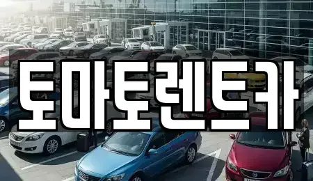 경기도 성남시 수정구 신흥동 렌트카 전문 토마토렌트카