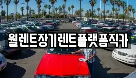 경기도 성남시 수정구 신흥동 장기렌트카 전문 월렌트장기렌트플랫폼직카