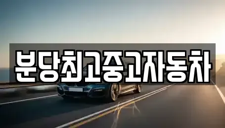 경기도 성남시 수정구 신흥동 중고차매매 전문 분당최고중고자동차