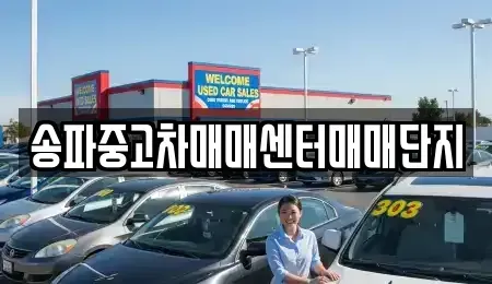 경기도 성남시 수정구 신흥동 중고차매매 전문 송파중고차매매센터매매단지