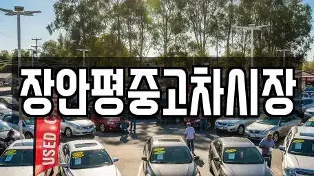 경기도 성남시 수정구 신흥동 중고차매매 전문 장안평중고차시장