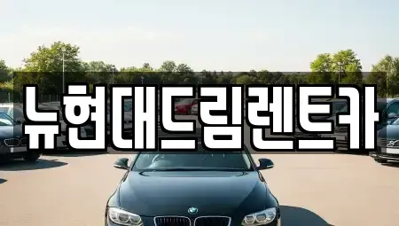 경기도 수원시 권선구 대황교동 렌트카 전문 뉴현대드림렌트카