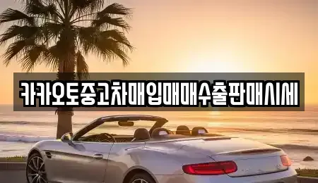 경기도 수원시 권선구 대황교동 중고차 전문 카카오토중고차매입매매수출판매시세