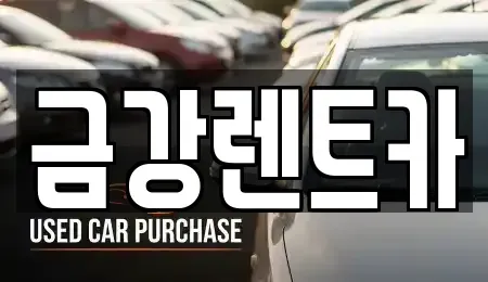 경기도 수원시 팔달구 북수동 렌트카 전문 금강렌트카
