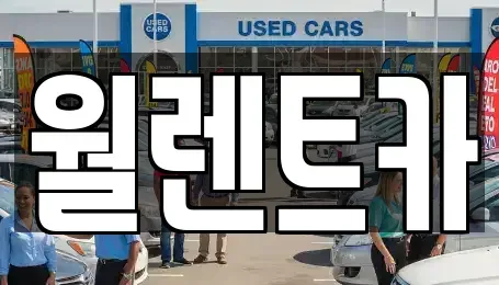 경기도 수원시 팔달구 북수동 렌트카 전문 월렌트카