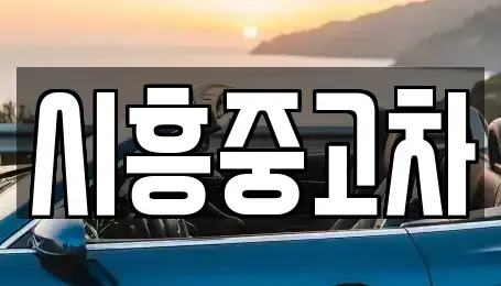 경기도 시흥시 대야동 중고차 전문 시흥중고차