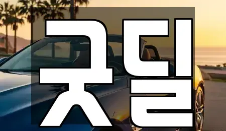 경기도 안산시 단원구 고잔동 중고차 전문 굿딜