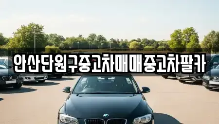 경기도 안산시 단원구 고잔동 중고차 전문 안산단원구중고차매매중고차팔카