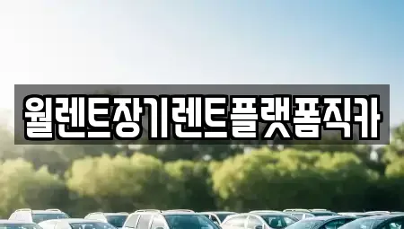 경기도 안산시 상록구 일동 장기렌트카 전문 월렌트장기렌트플랫폼직카