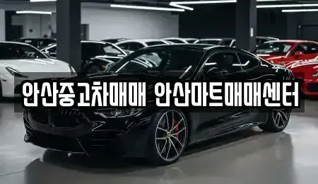 경기도 안산시 상록구 일동 중고차매매 전문 안산중고차매매 안산마트매매센터