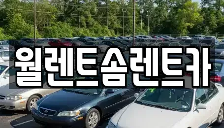 경기도 안성시 숭인동 렌트카 전문 월렌트솜렌트카