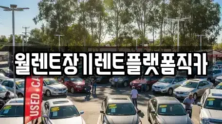경기도 안성시 숭인동 렌트카 전문 월렌트장기렌트플랫폼직카