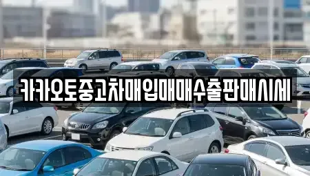 경기도 안성시 숭인동 단기렌트카,중고차매입,중고차매매,중고차,렌트카,장기렌트카