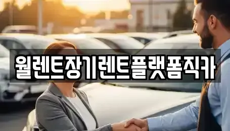 경기도 안성시 장기렌트카 전문 월렌트장기렌트플랫폼직카