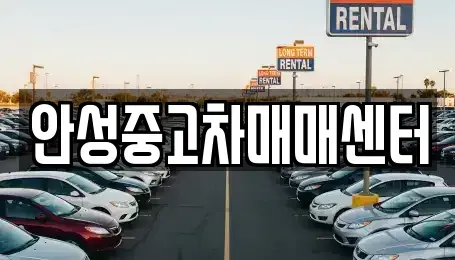 경기도 안성시 중고차 전문 안성중고차매매센터
